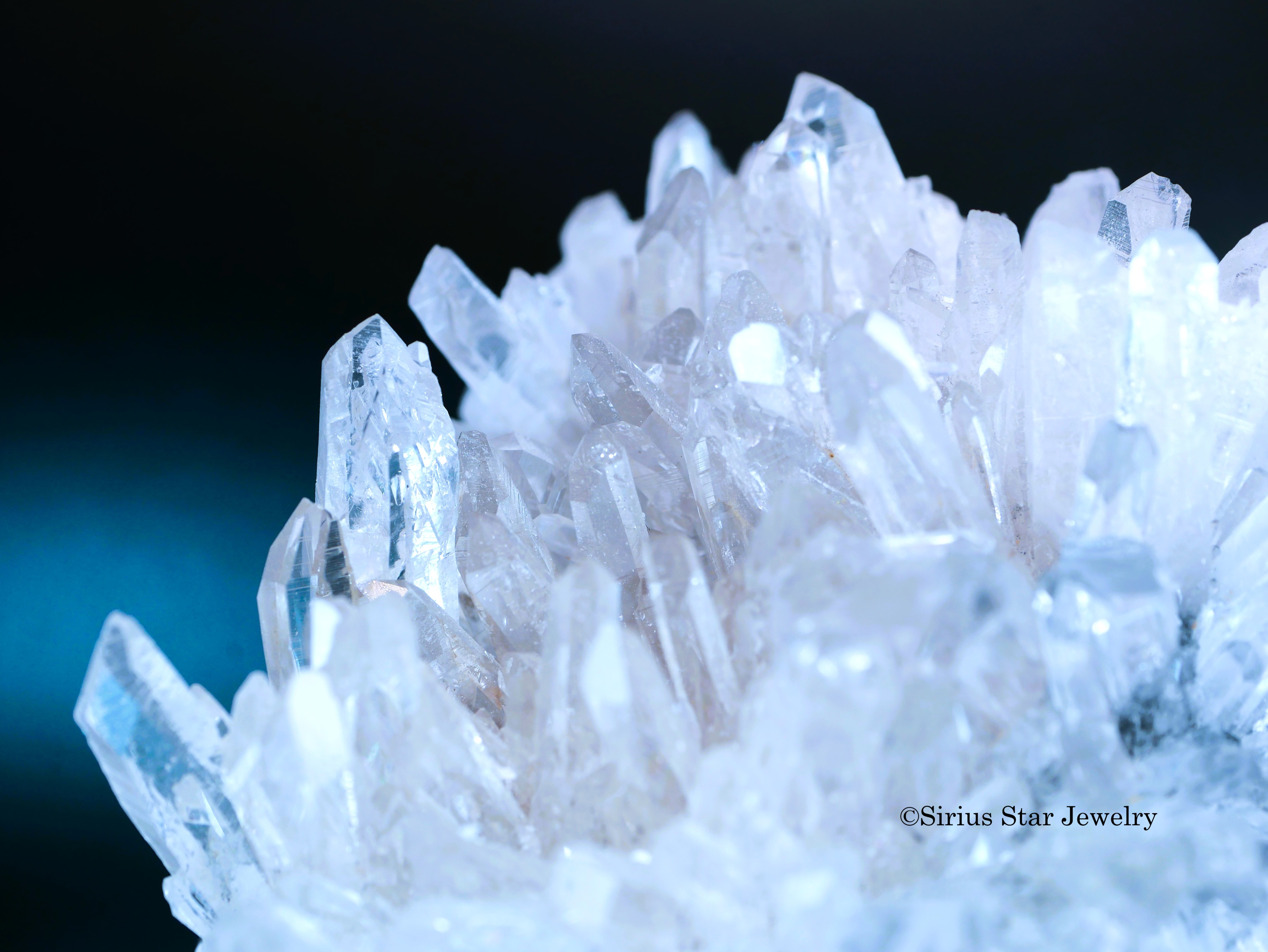 菊花水晶クラスター　