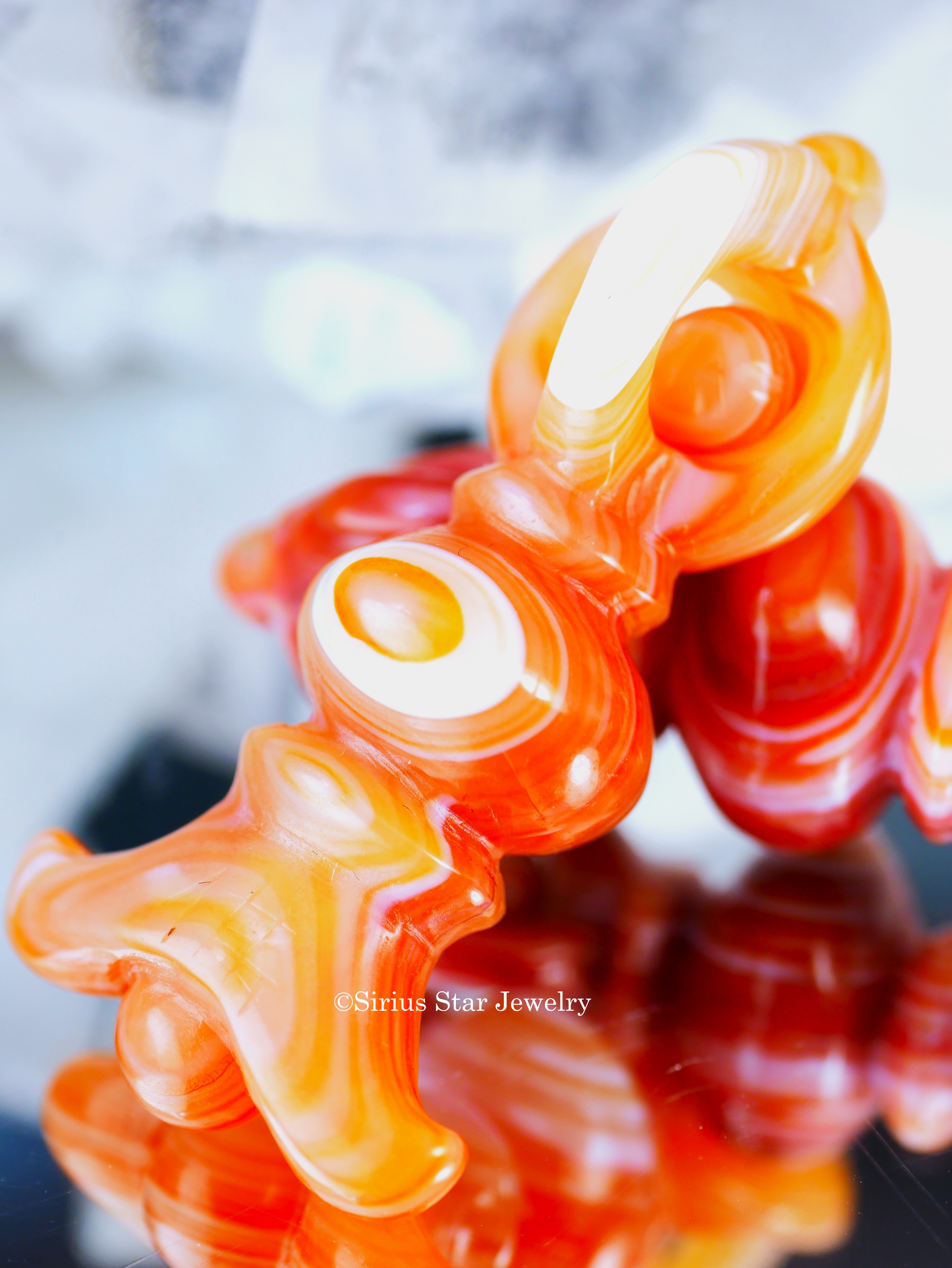 赤天眼石　五鈷杵　元宝