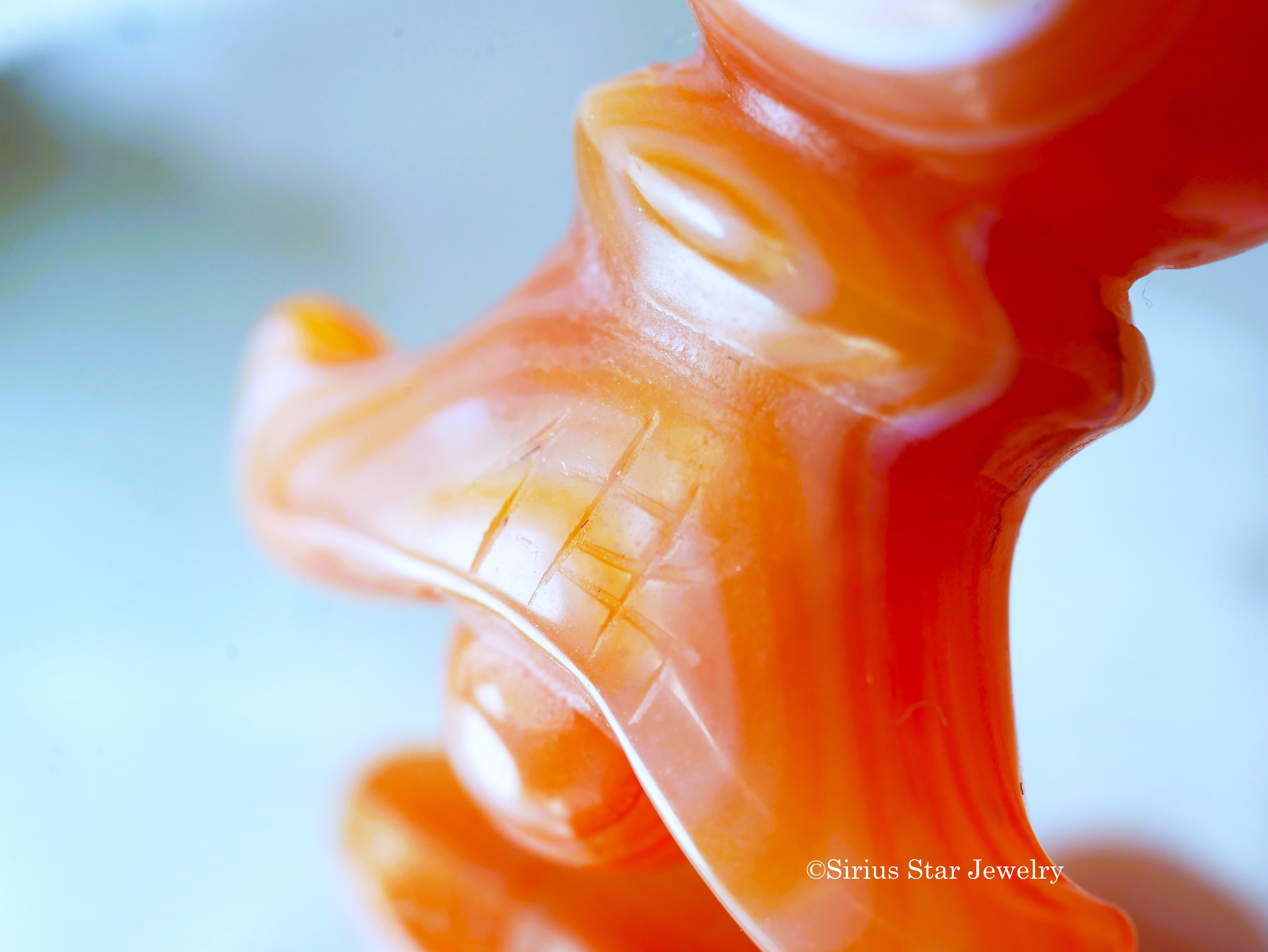 赤天眼石　五鈷杵　元宝