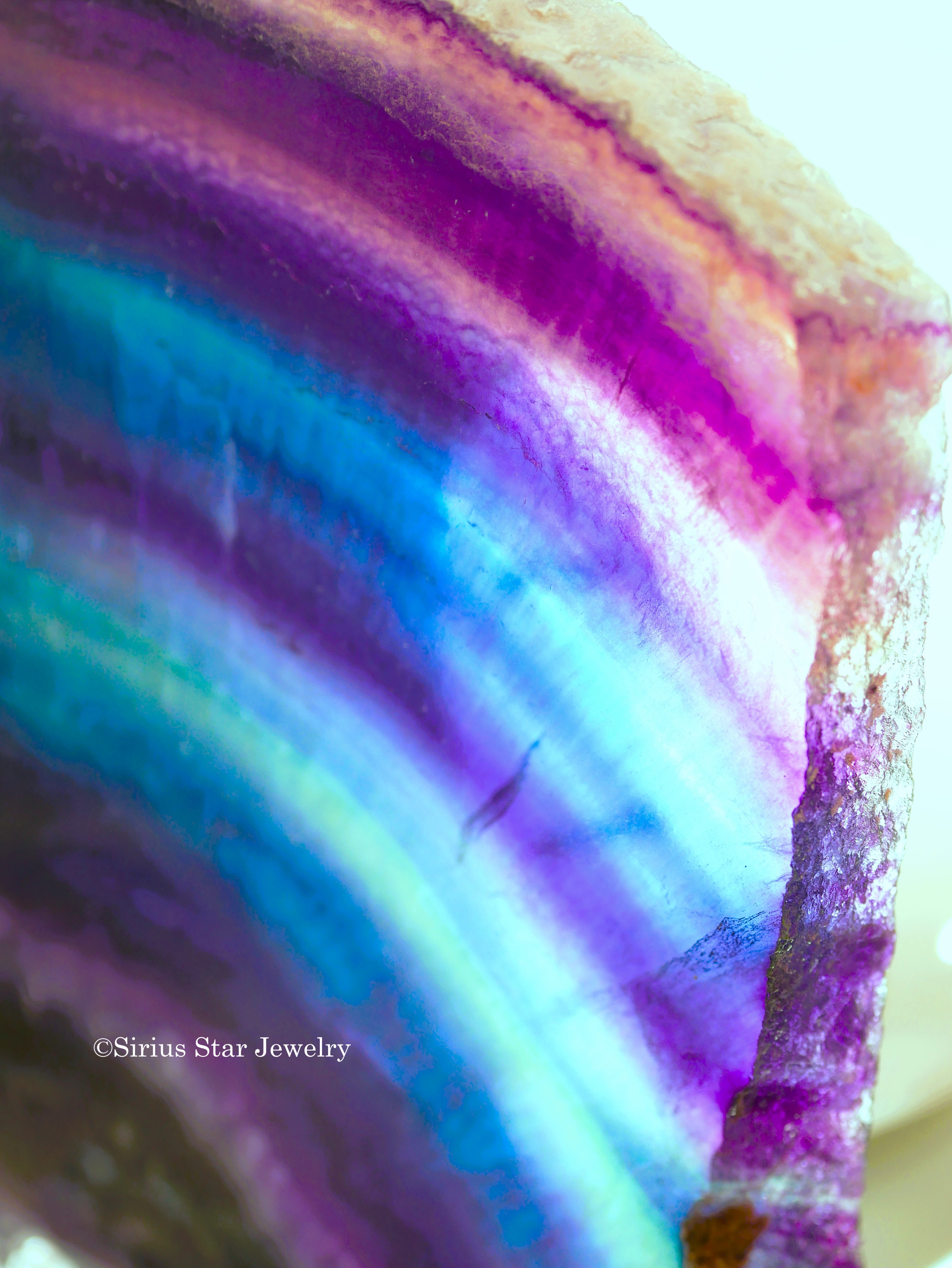 知恵の女神【ミネルヴァ】コース